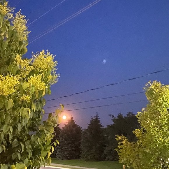 Meet your Posher, Mirsada - Picture 1 of 1